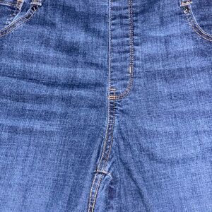 Time and Tru Women's Blue Jean Shorts